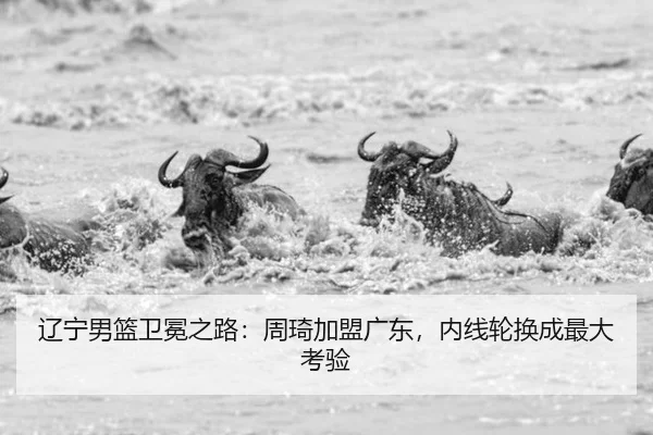 liao-ning-nan-lan-wei-mian-zhi-lu-zhou-qi-jia-meng-guang-dong-nei-xian-lun-huan-cheng-zui-da-kao-yan-3-472.jpg