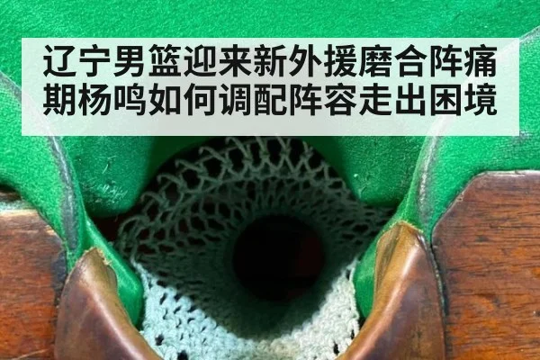 辽宁男篮迎来新外援磨合阵痛期杨鸣如何调配阵容走出困境