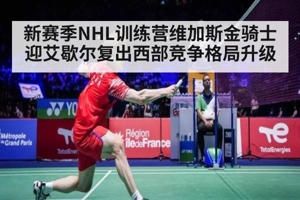 新赛季NHL训练营维加斯金骑士迎艾歇尔复出西部竞争格局升级